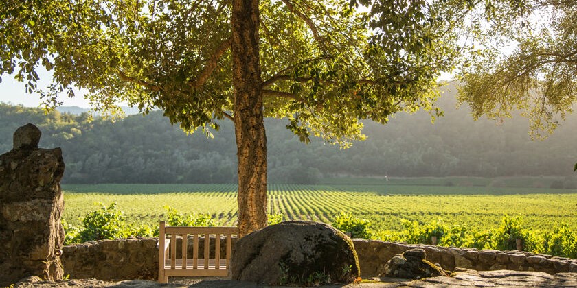 Stag's Leap Wine Cellars