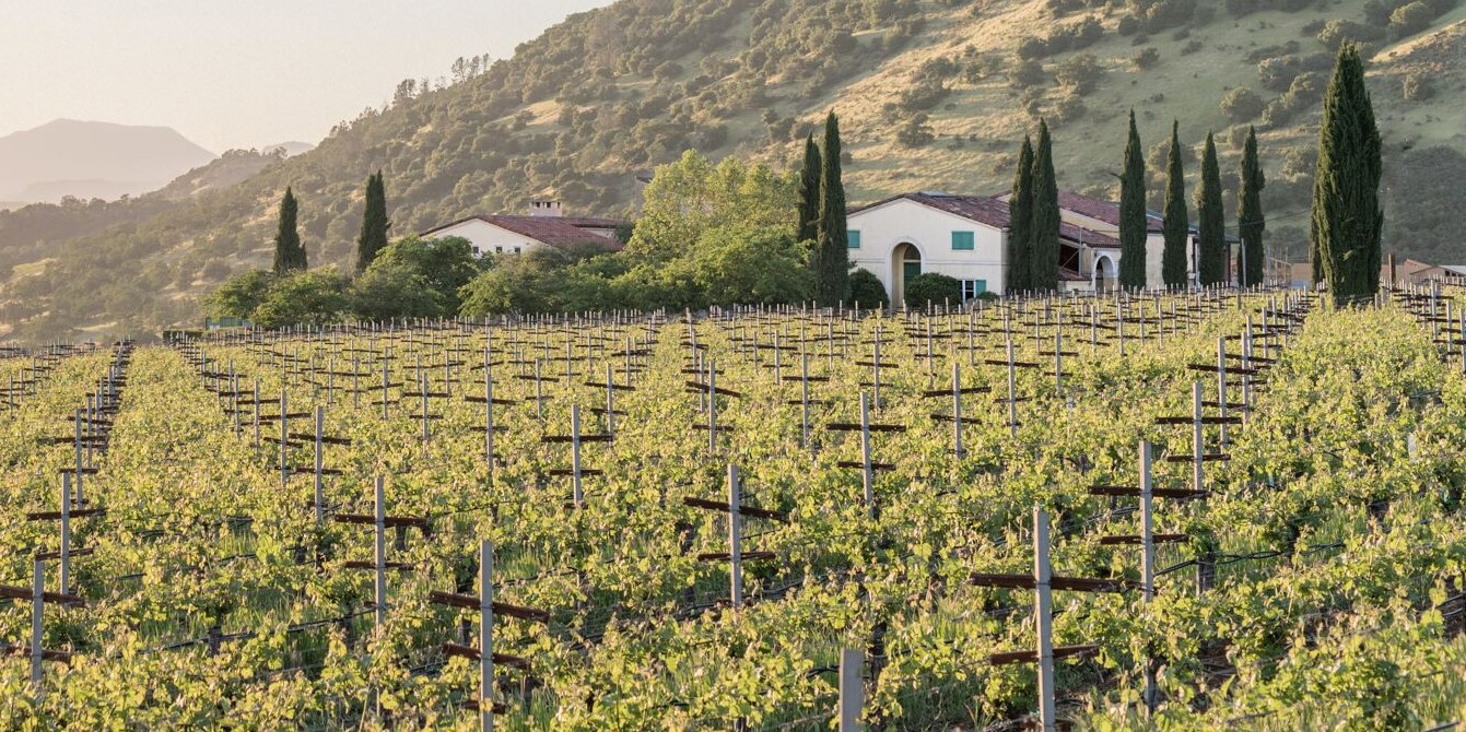 Dalla Valle Vineyards