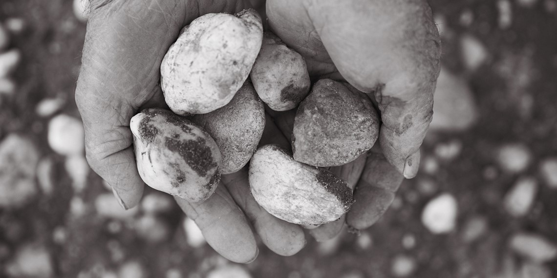 Château Ducru-Beaucaillou