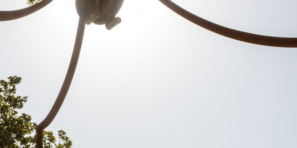 Château Haut-Bages Libéral