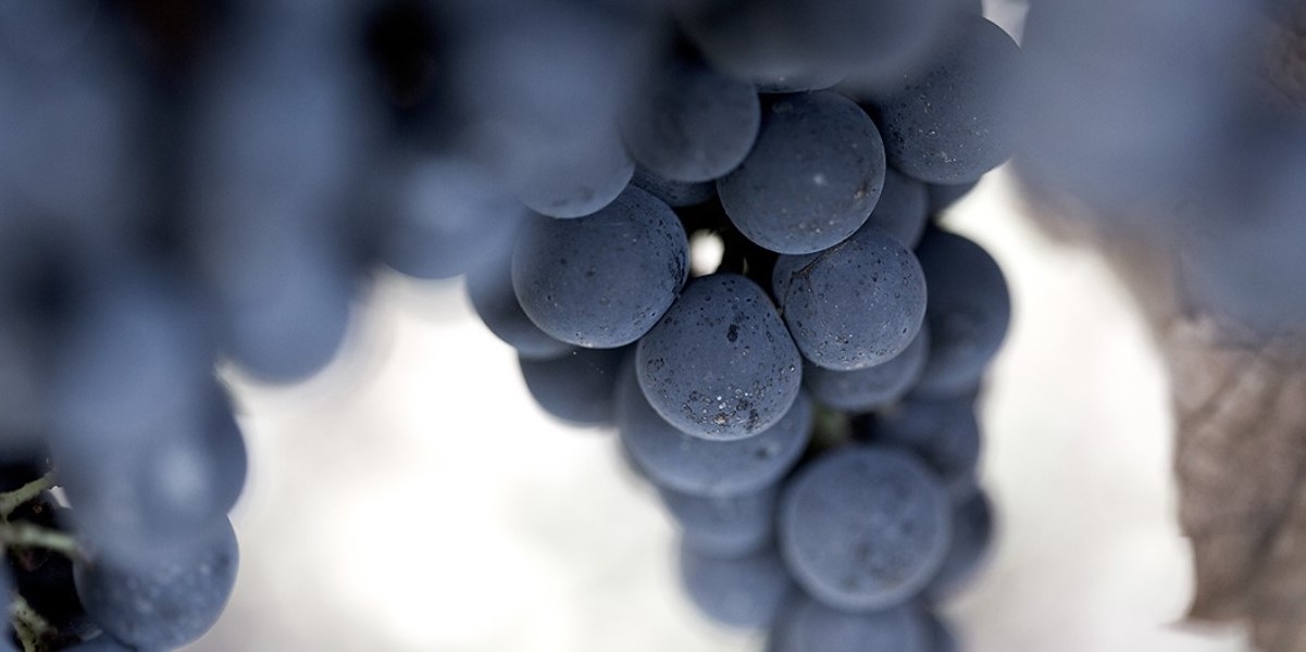 Château Haut-Batailley