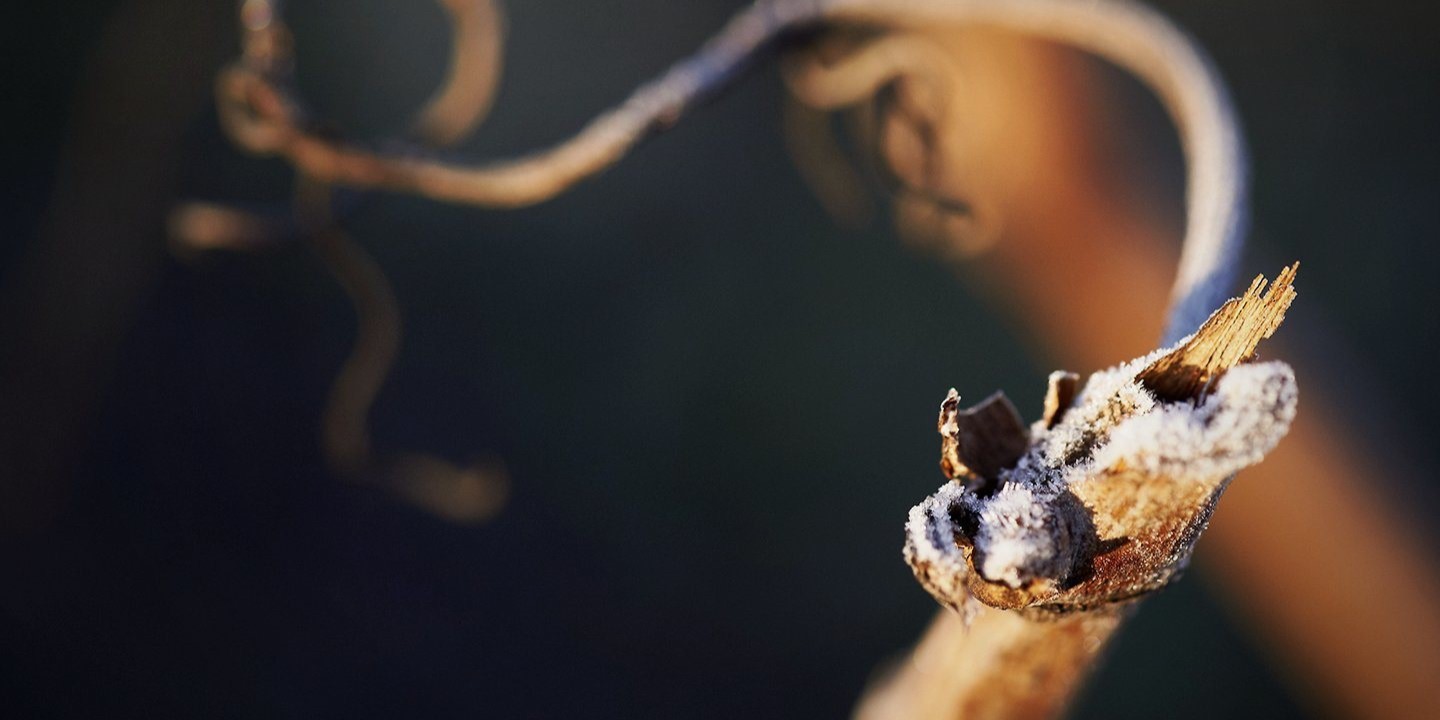 Château Léoville Barton