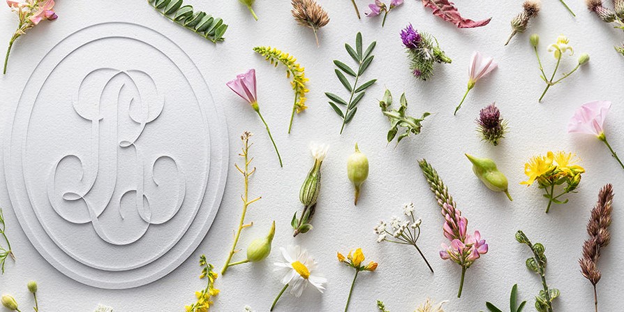 Maison Louis Roederer