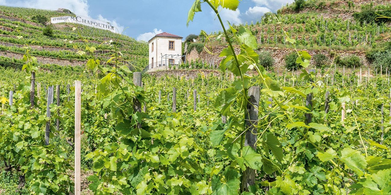 Maison M. Chapoutier