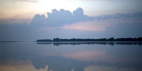 Château Marquis d'Alesme