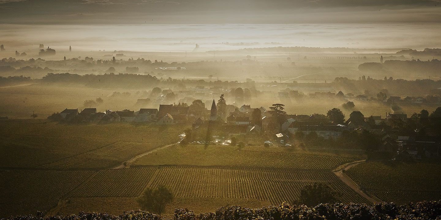 Domaine Méo-Camuzet