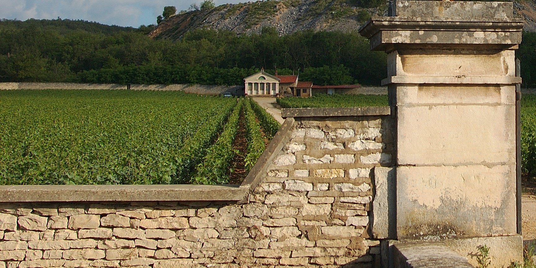 Domaine Jacques-Frédéric Mugnier 